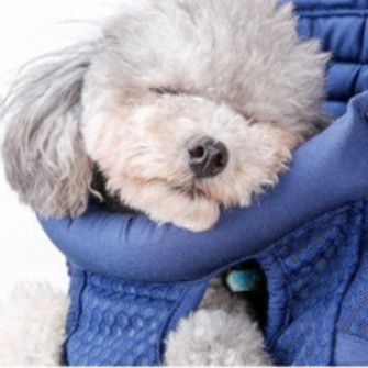 犬キャリーバッグ 前後両用リュック式抱っこ紐ペット用キャリー