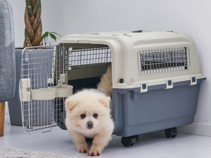 犬キャリーバッグ 小型犬～大型犬対応キャスター付きハードキャリーケース