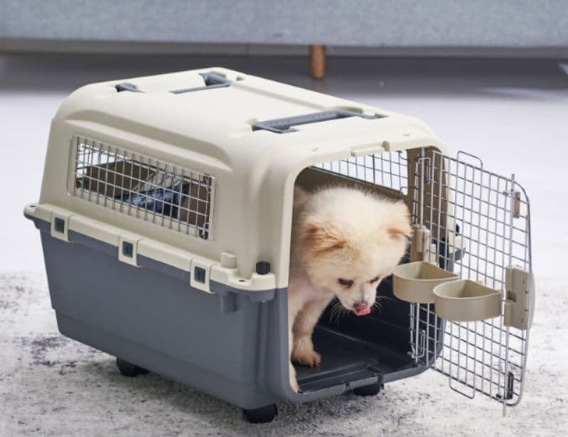 犬キャリーバッグ 小型犬～大型犬対応キャスター付きハードキャリーケース