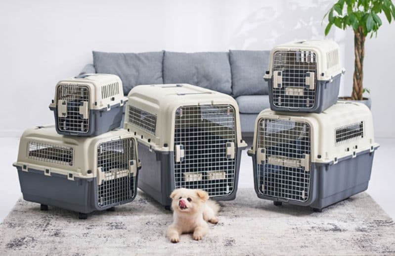 犬キャリーバッグ 小型犬～大型犬対応キャスター付きハードキャリーケース