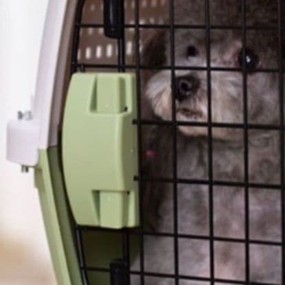 犬キャリーバッグ 上部開閉式通気孔付き頑丈ハードキャリーバッグ