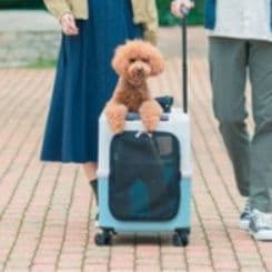 犬キャリーバッグ 四輪キャスター付き旅行用ハードキャリーバッグ