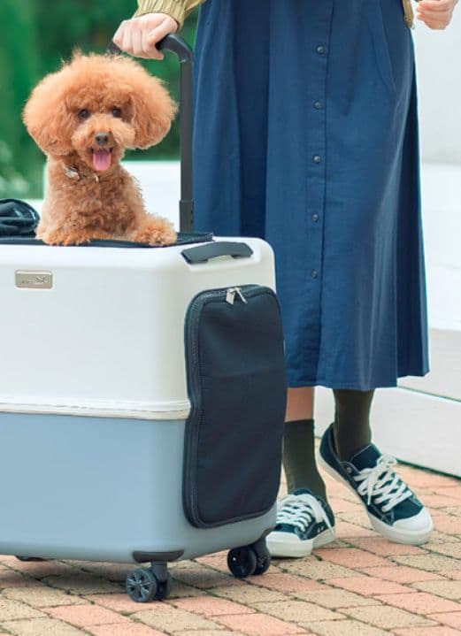 犬キャリーバッグ 四輪キャスター付き旅行用ハードキャリーバッグ